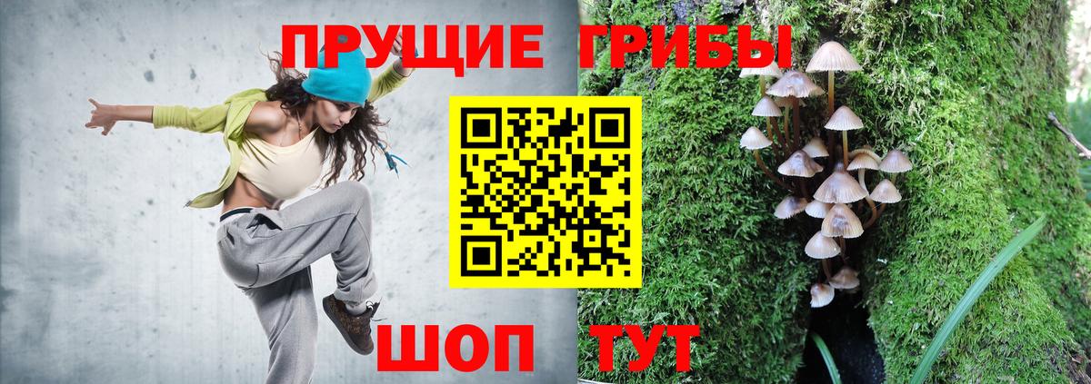 Галлюциногенные грибы MAGIC MUSHROOMS Ростов Великий