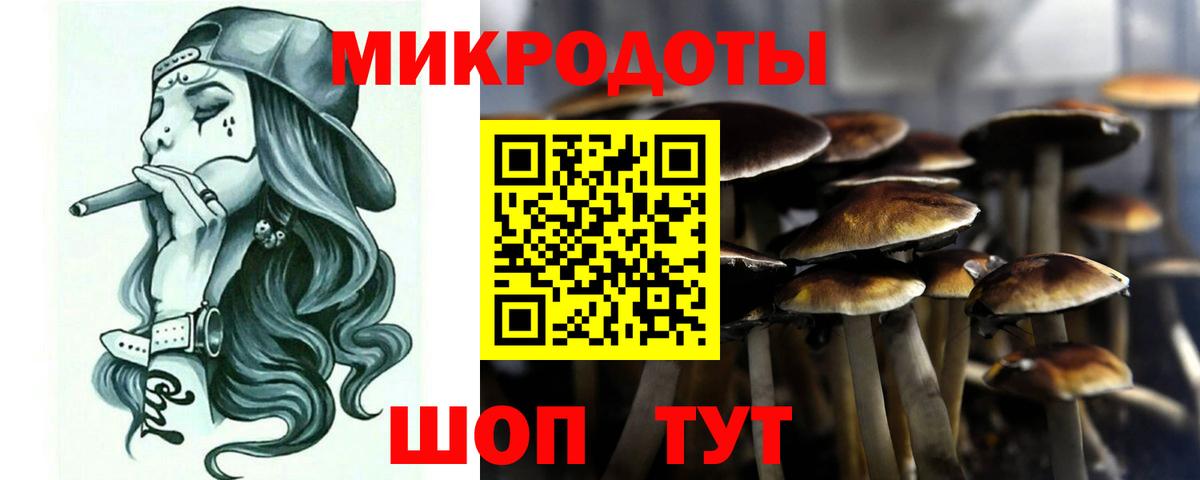 Ростов Великий  Псилоцибиновые грибы Psilocybe  Вход с VPN 